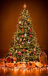 Les fêtes au Célébrité